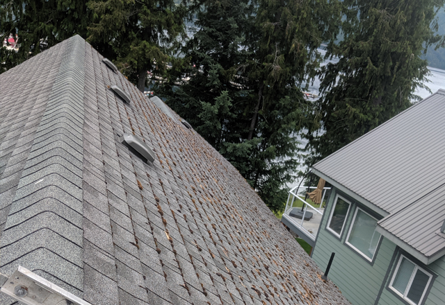 roof cleaning calgary